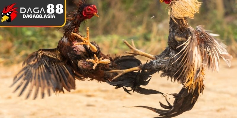 Quản lý nguồn vốn, tránh đặt quá nhiều vào một lượt