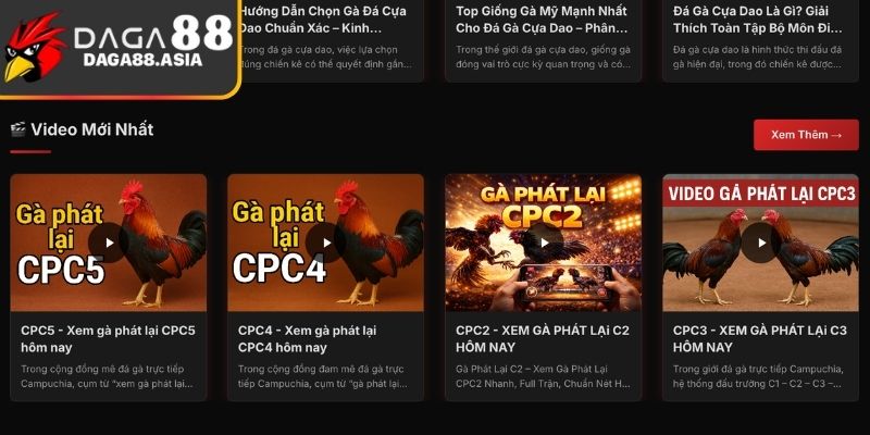 Những khía cạnh nổi bật thể hiện Daga88 có uy tín không 