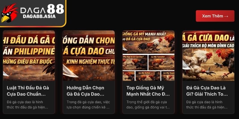 Cách kiểm tra xem Daga88 lừa đảo không cực hiệu quả