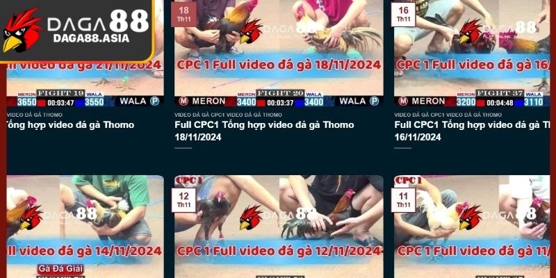 Đôi nét thông tin giới thiệu sơ bộ về thương hiệu